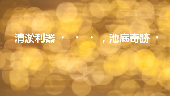 清淤利器，池底奇跡！